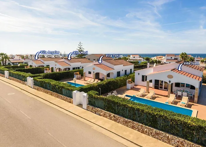 Tonia By קאלאן בוש